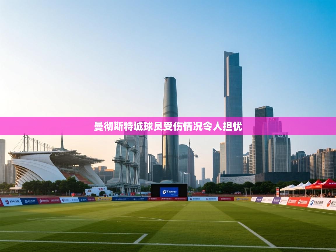 曼彻斯特城球员受伤情况令人担忧  第2张