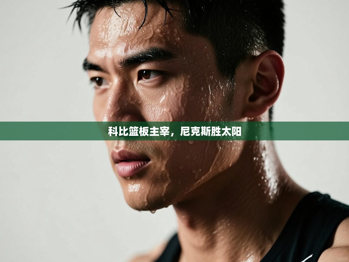 科比篮板主宰，尼克斯胜太阳  第2张